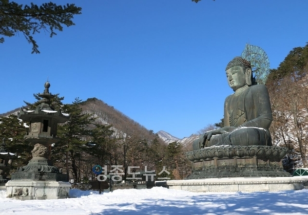 사진/ 설악산 신흥사 통일대불 청동좌상 