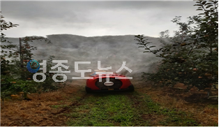 사진 / 영주시농업기술센터 제공 