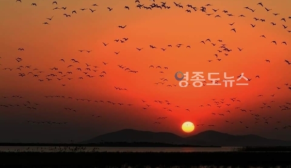 사진 이관희 채널A 스마트 리포터