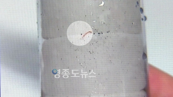 사진 : YTN 화면 캡처