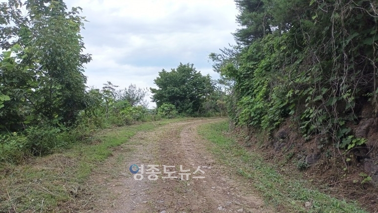 김현주 교수 제공 