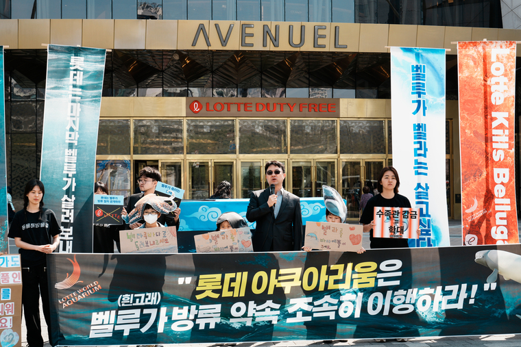 동물해방물결 관계자와 환경운동연합 바다위원회 관계자가 3일 오전 롯데월드타워 앞에서 흰돌고래 방류를 촉구하는 기자회견을 개최했다. <사진: 동물해방물결 제공>