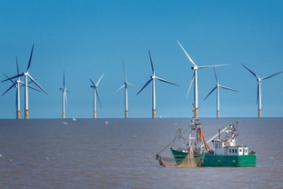 [이슈] 외국계 기업에 한국 해상풍력 시장 여전히 매력적인가?