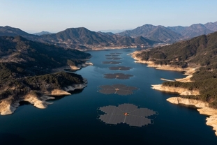 '물 위에 짓는 발전소'...수자원공사 수상태양광, 탄소중립·지역상생 모델로 부상